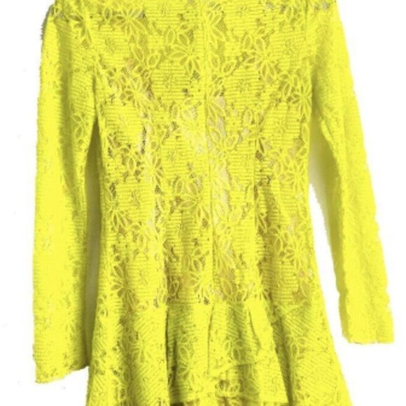 BCBGMAXAZRIA Embroidery Flower Lace Dress - Picture 9 of 12